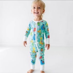 Sesame Street Little Sleepies zippy